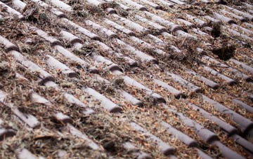 Chapelthorpe roof cleaning companies